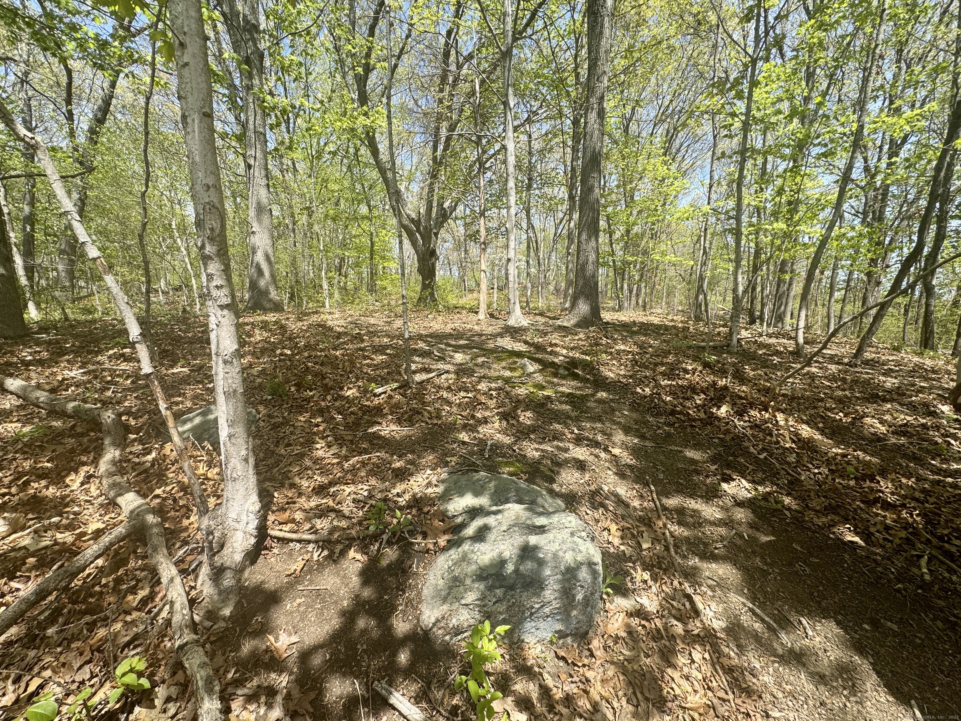 123 Maple Street, Norwich, Connecticut image 30