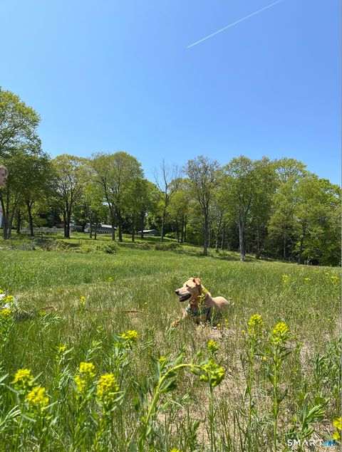 Tiny photo for 415 South Street, Litchfield, CT 06759 (MLS # 24143180)