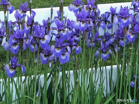 Tiny photo for 30 Hopyard Road, East Haddam, CT 06423 (MLS # 24154560)