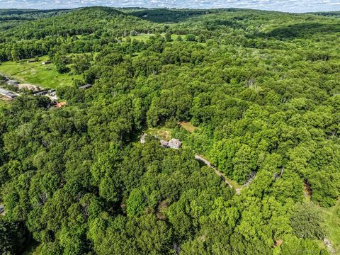 Tiny photo for Bridgewater, CT 06752 (MLS # 24134373)