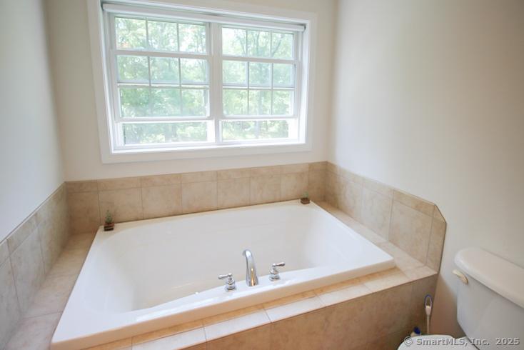 8 Teaberry Court, Haddam, Connecticut image 11