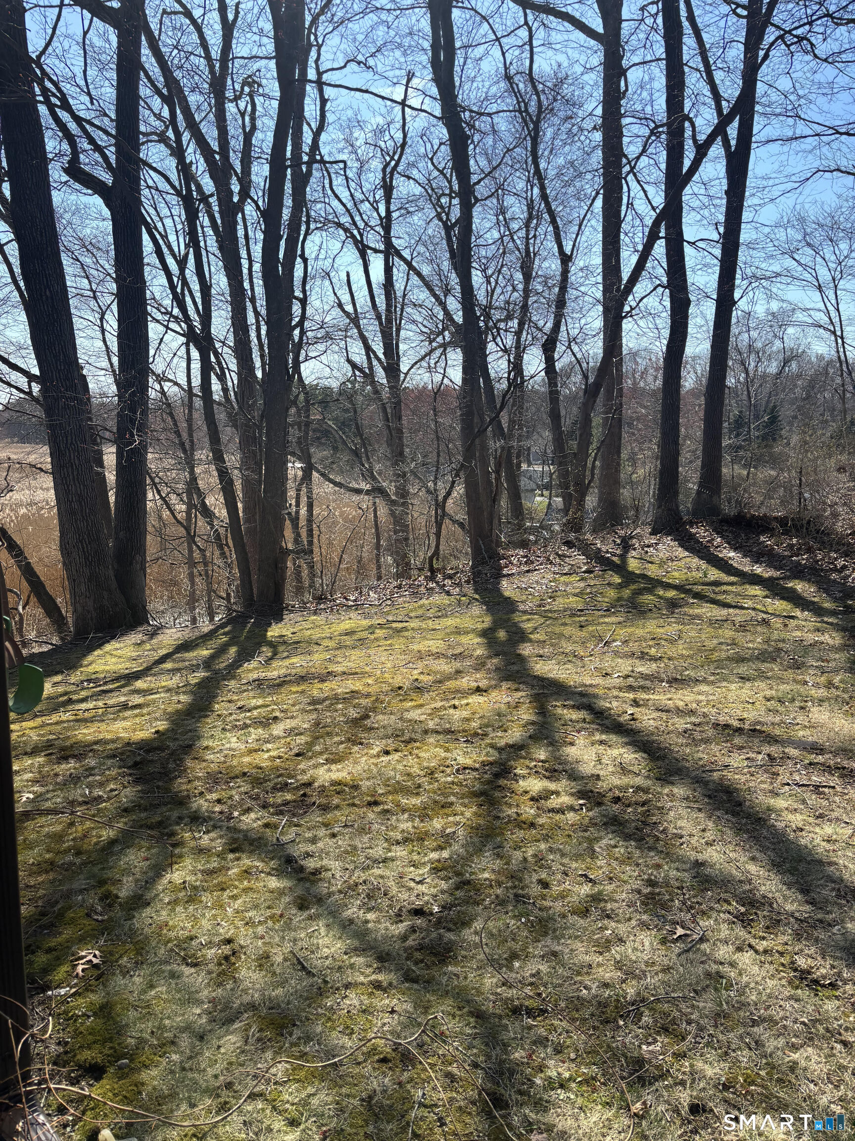 9 Sandy Brook Road 2