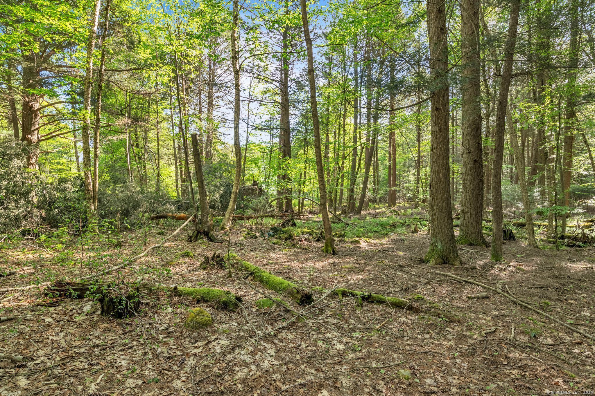 Stony Lane