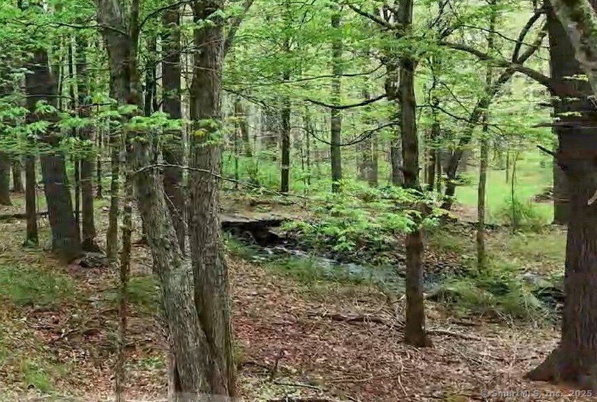 597 East Thompson Road #LOT 10C, Thompson, Connecticut image 6