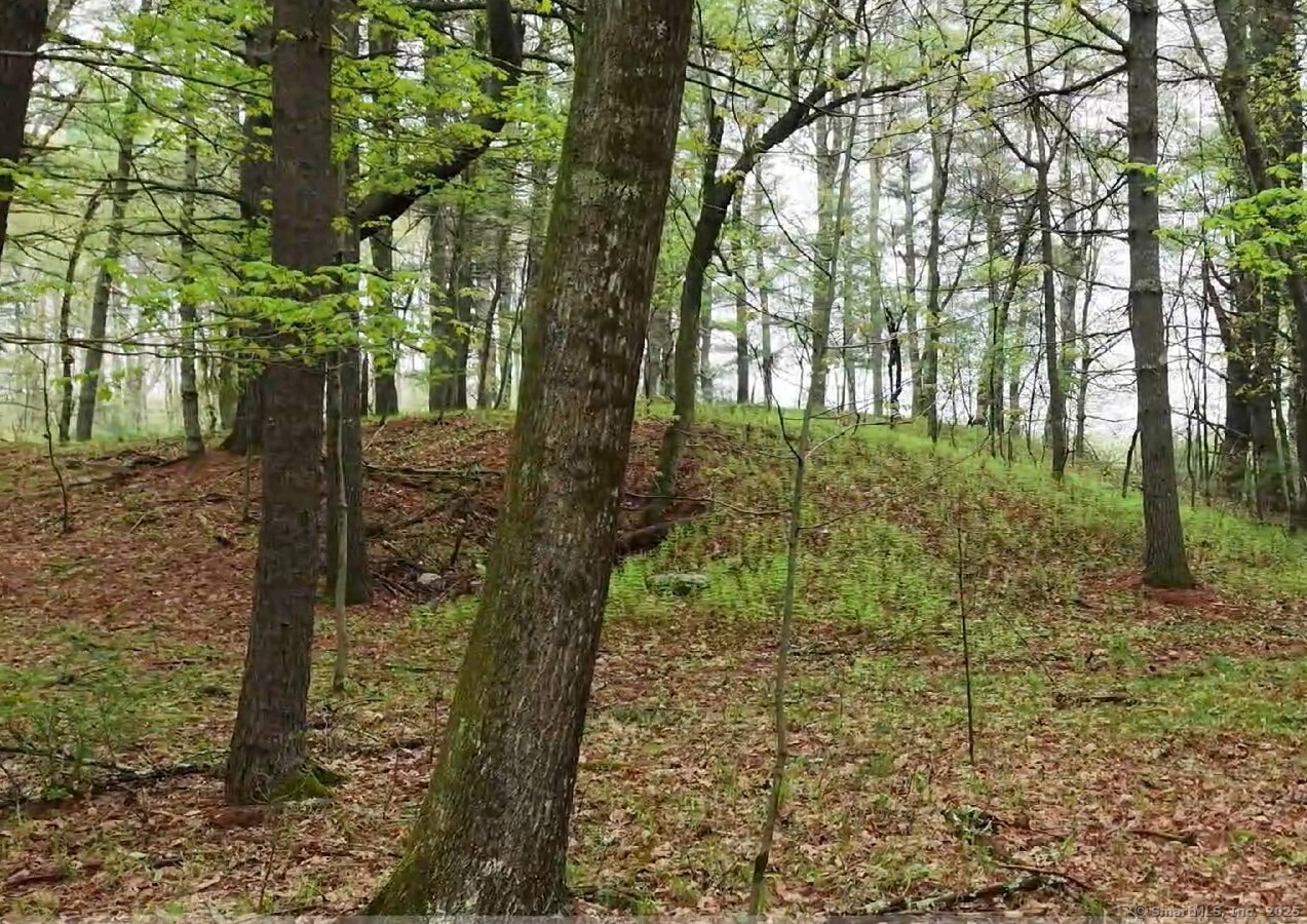 597 East Thompson Road #LOT 10C, Thompson, Connecticut image 9