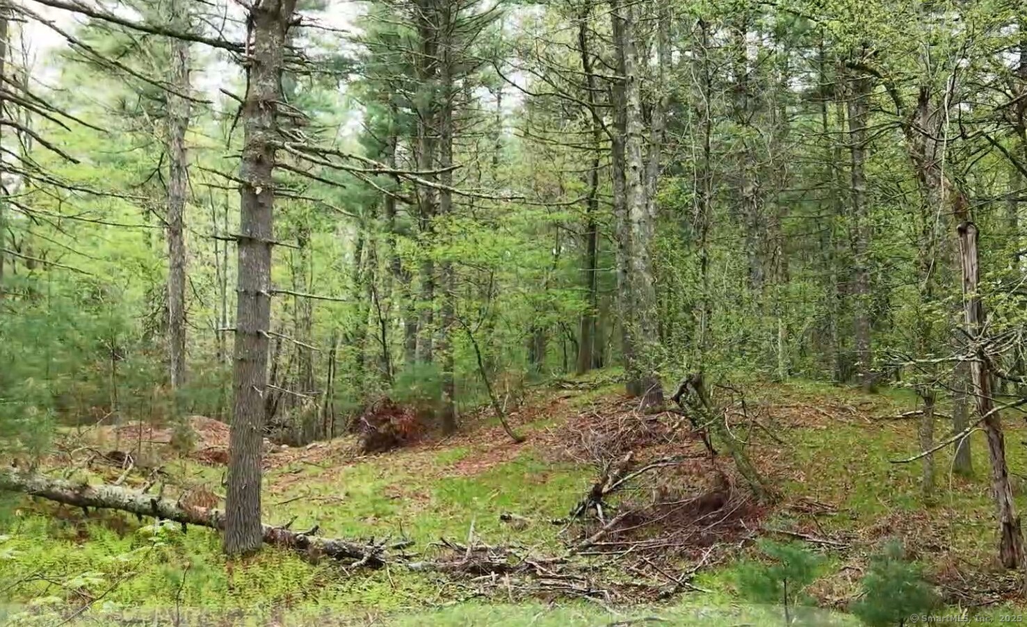 597 East Thompson Road #LOT 10C, Thompson, Connecticut image 13