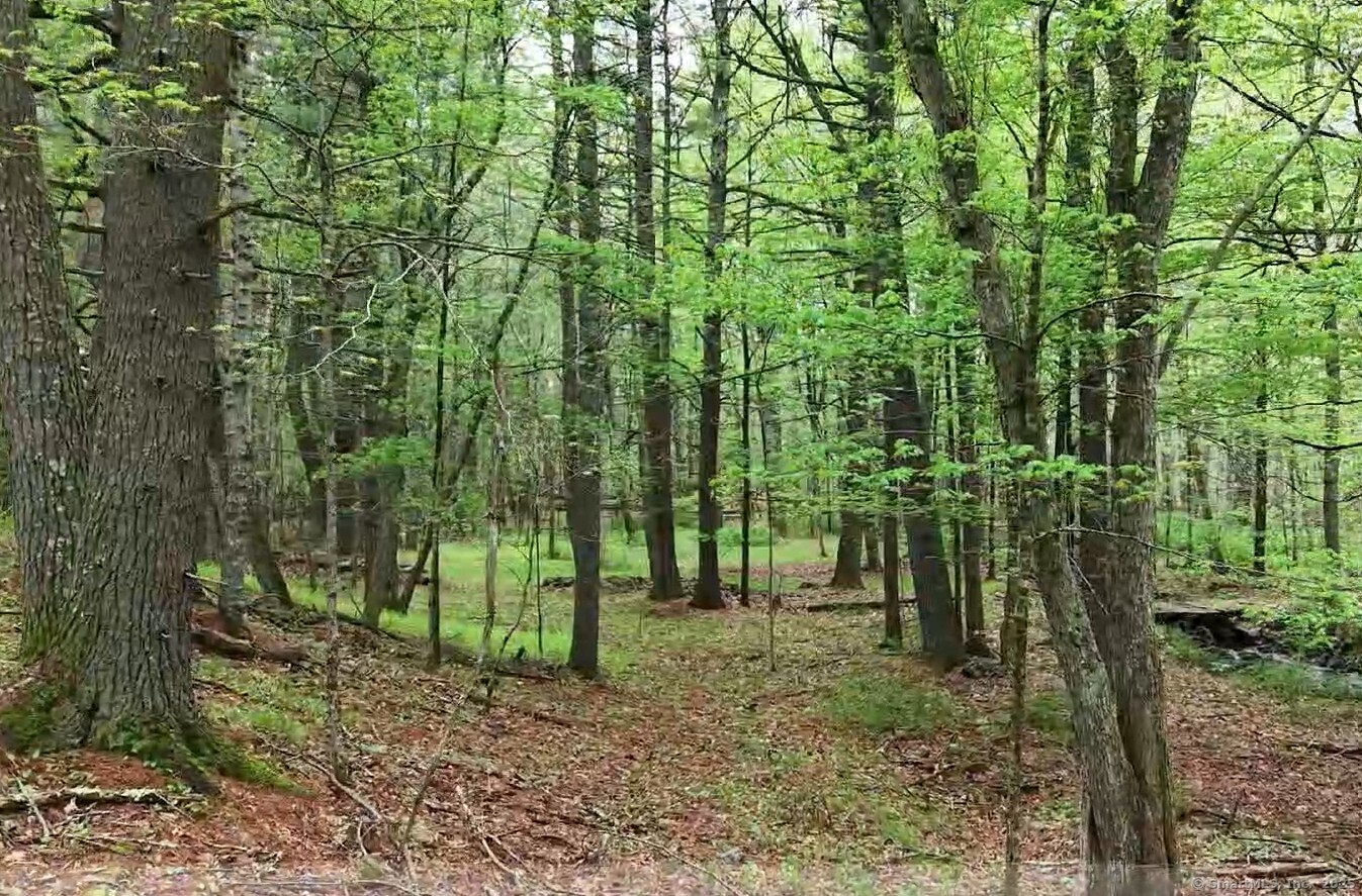 597 East Thompson Road #LOT 10C, Thompson, Connecticut image 12
