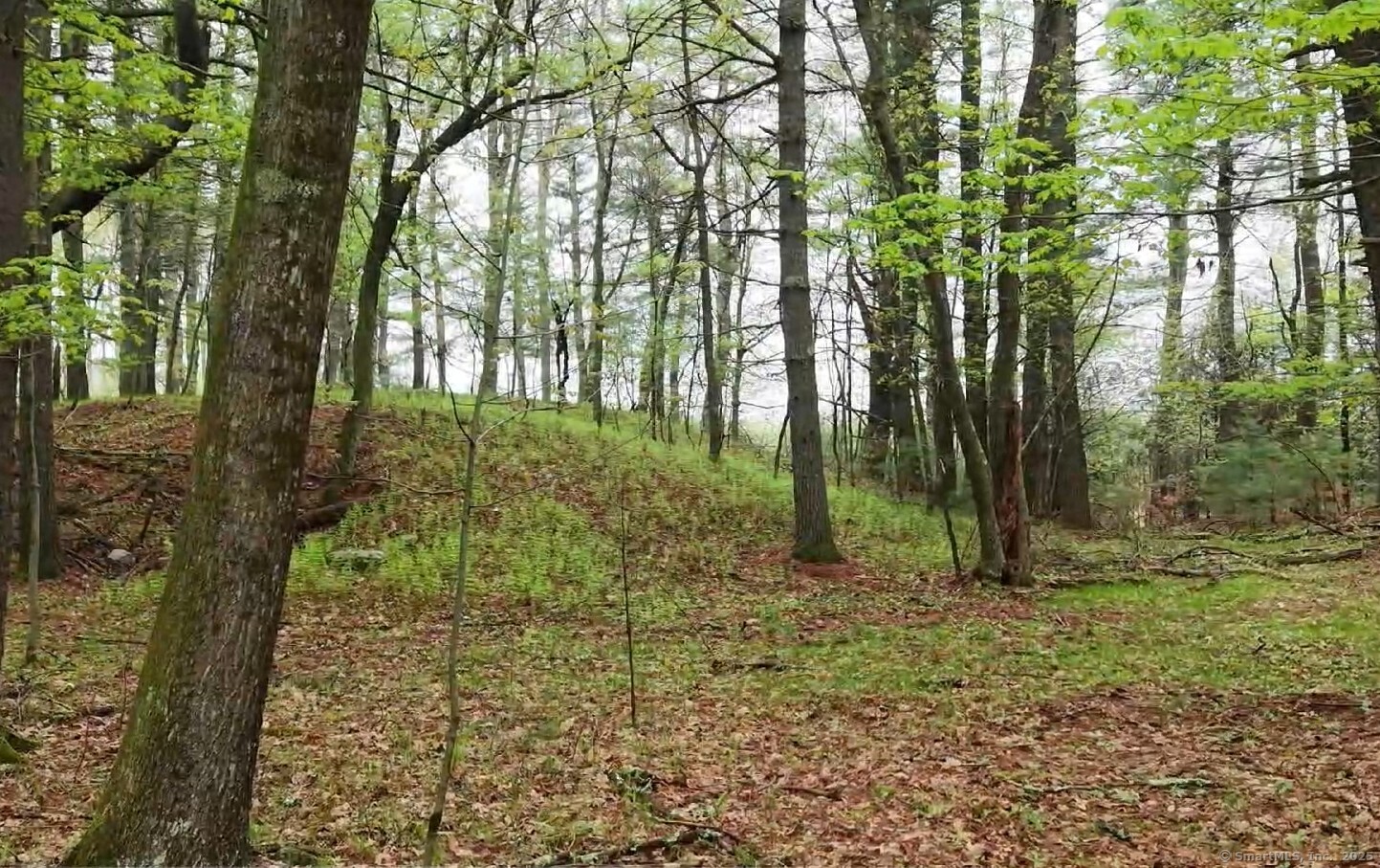 597 East Thompson Road #LOT 10C, Thompson, Connecticut image 11