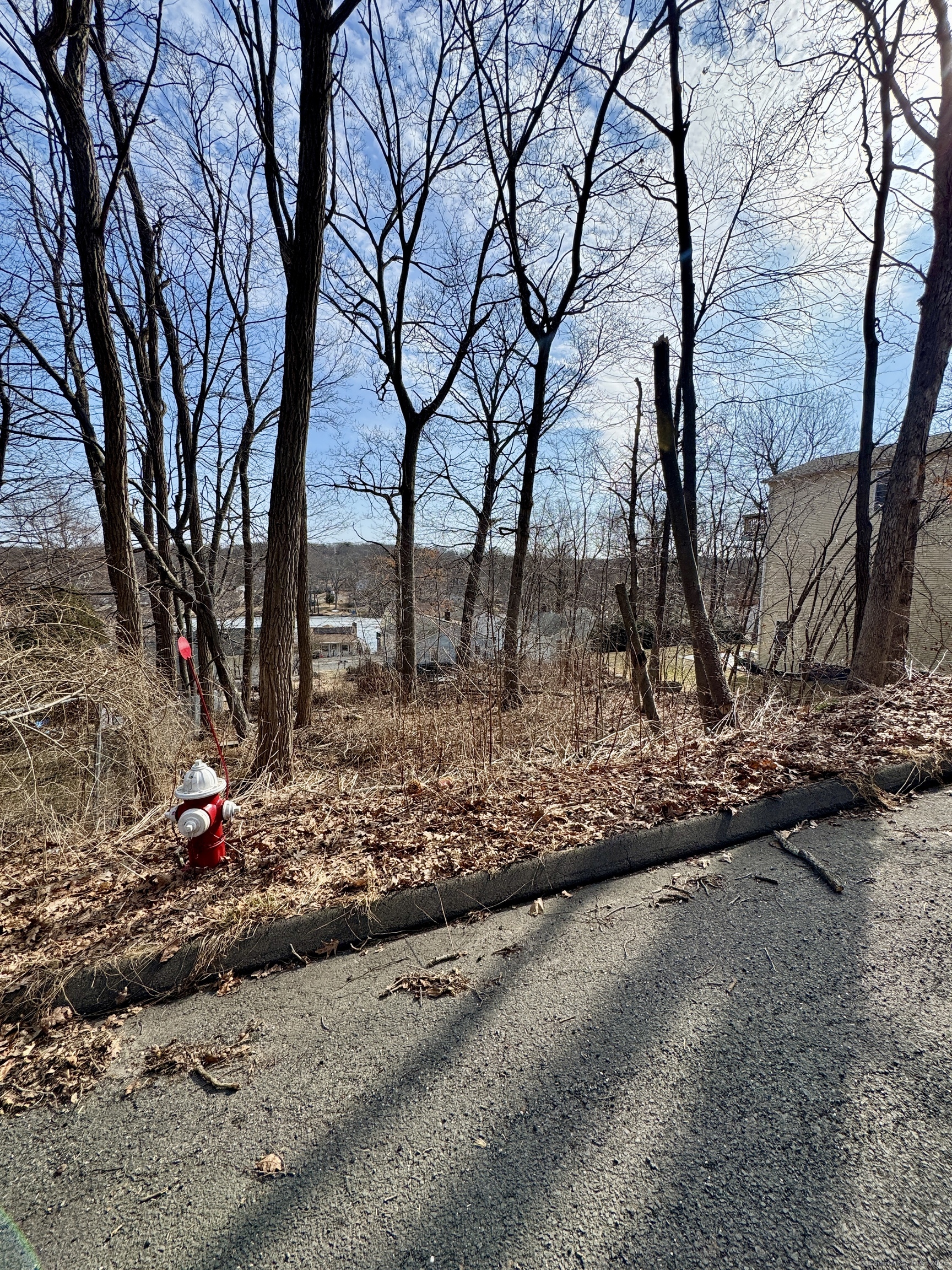 Lakeview Road, Plymouth, Connecticut -  - 