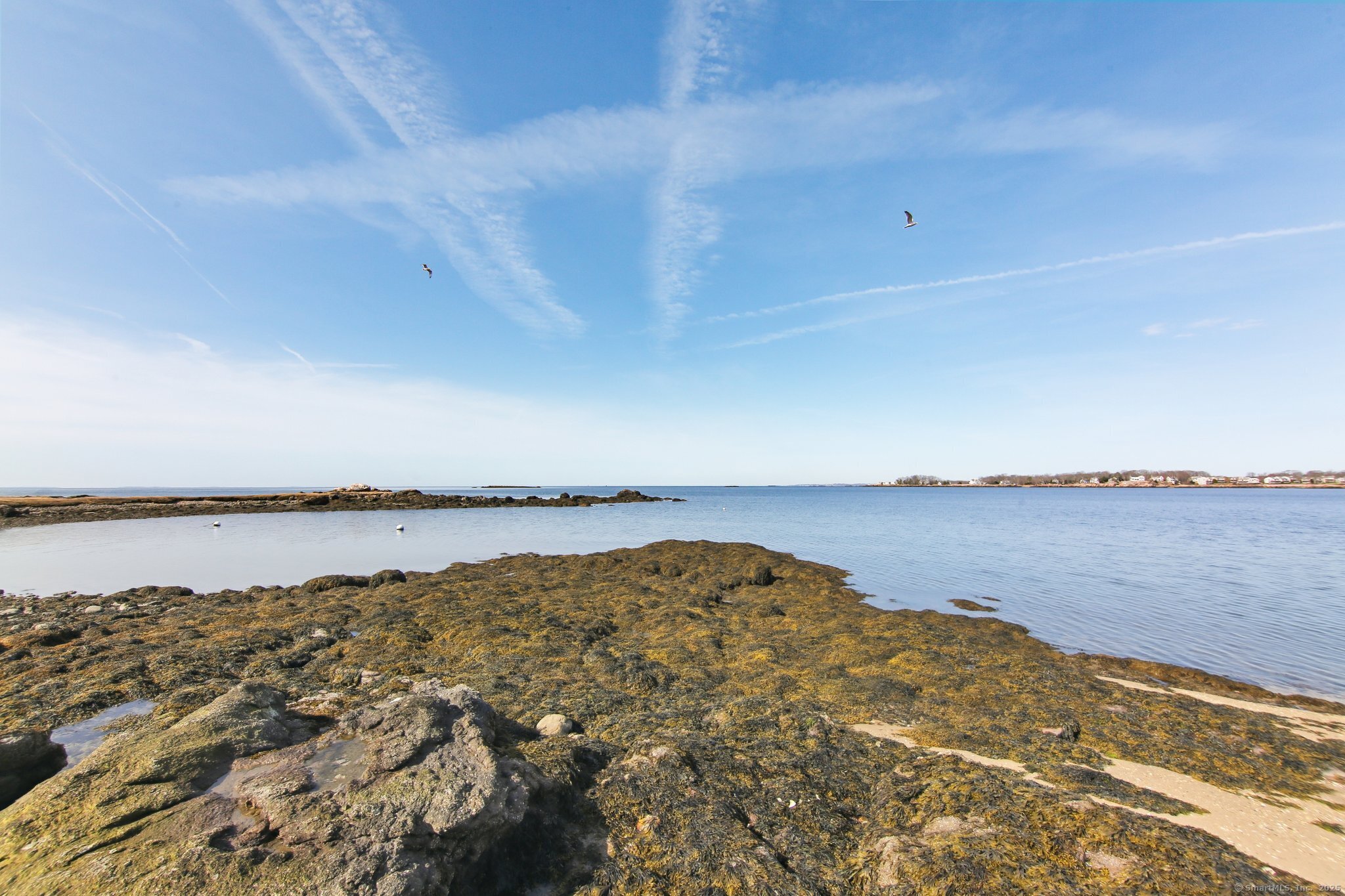 93 Sunset Beach Road, Branford, Connecticut image 11