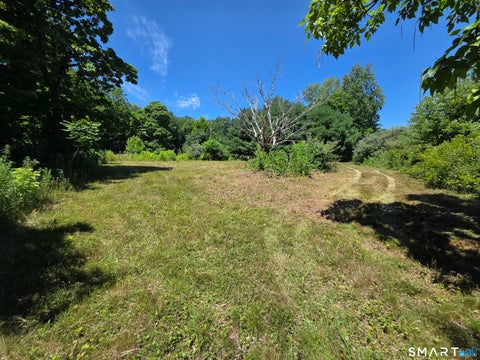 Photo of 183 N Granby Road, Granby, CT 06035 (MLS # 24192440)