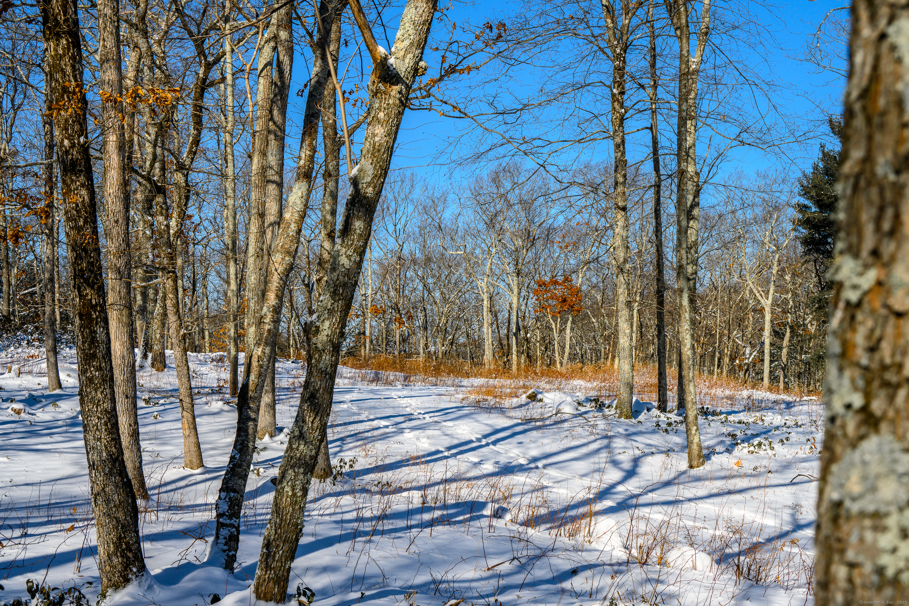 Westwoods Road # 2, Sharon, Connecticut image 8
