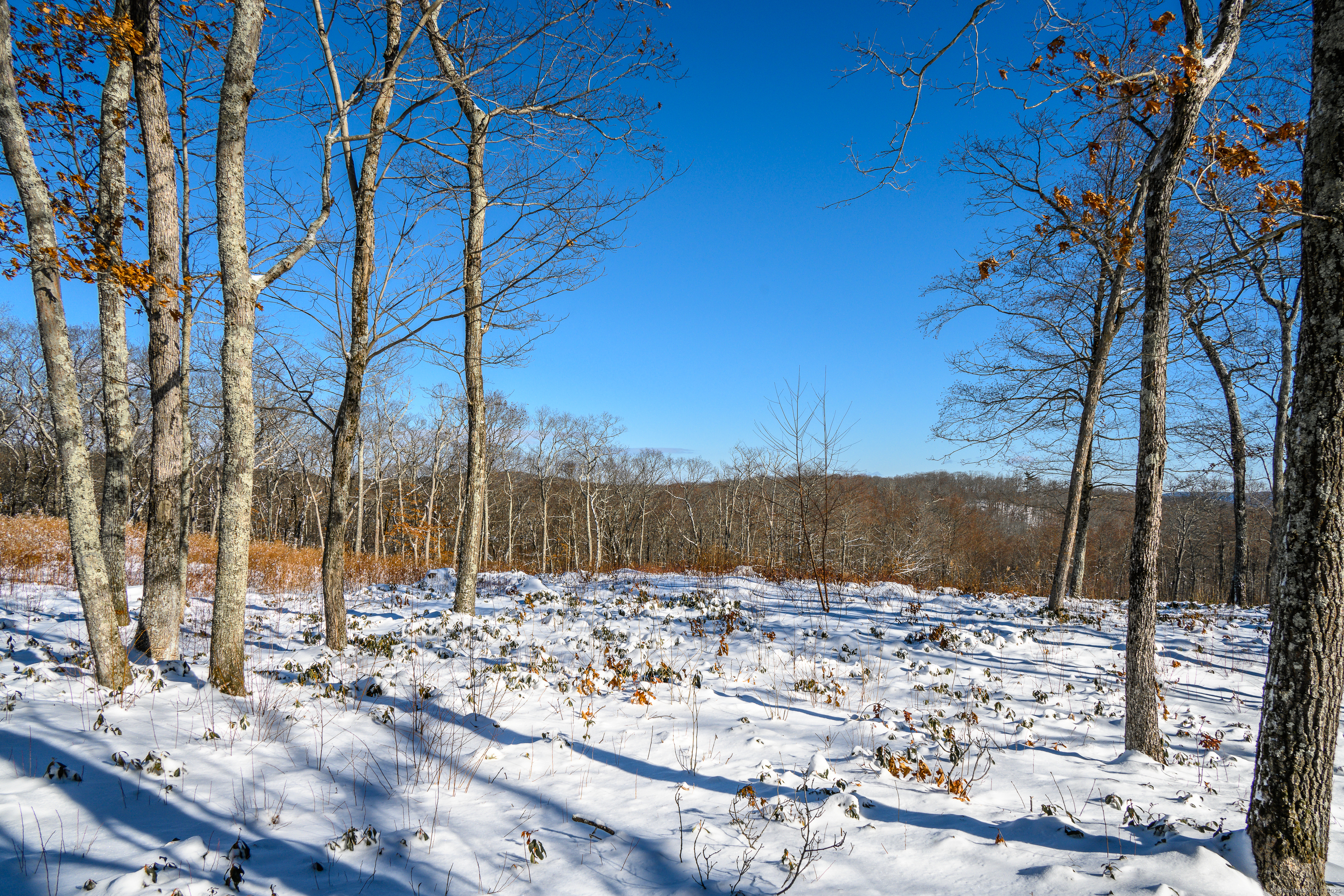 Westwoods Road # 2, Sharon, Connecticut image 9