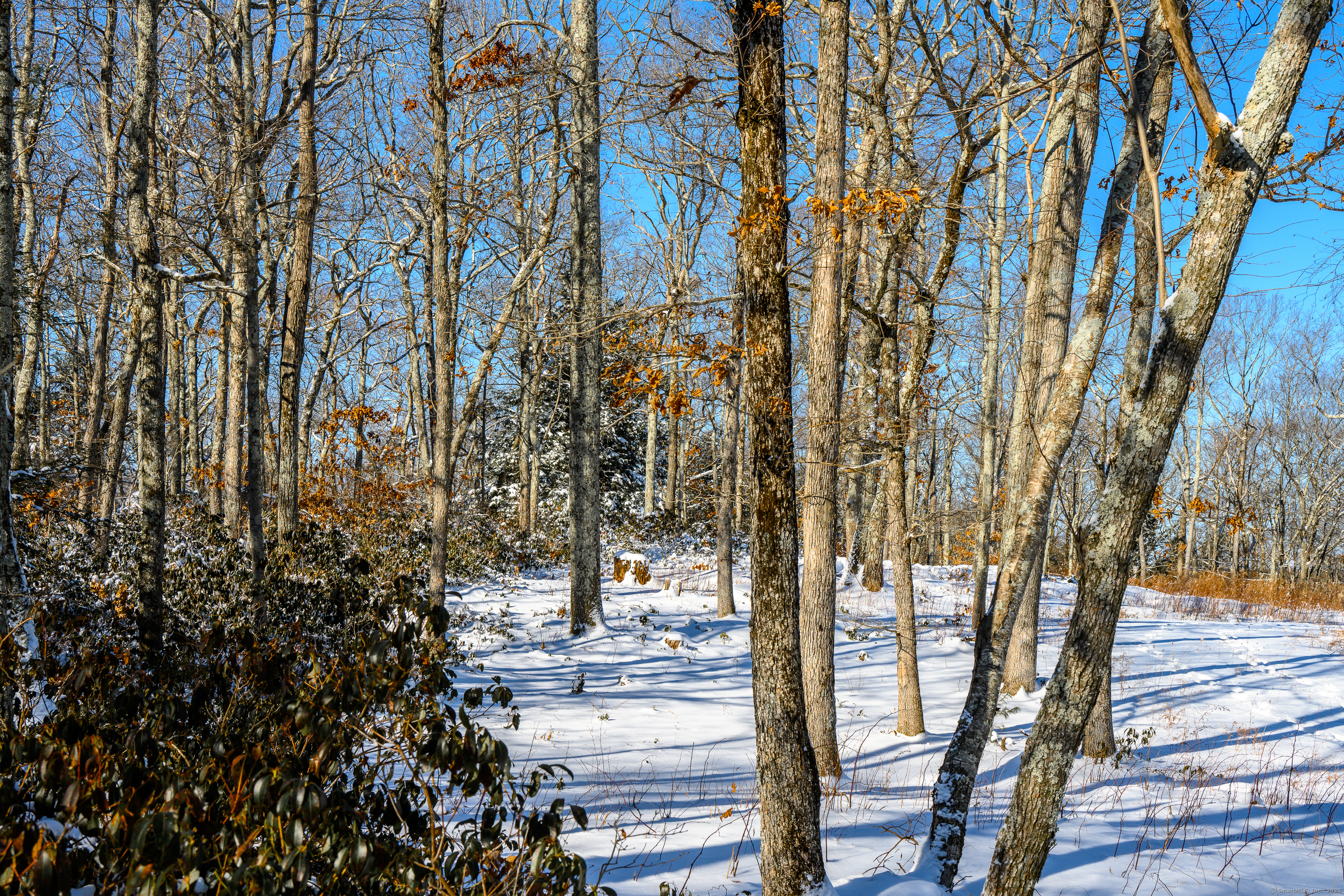 Westwoods Road # 2, Sharon, Connecticut image 12