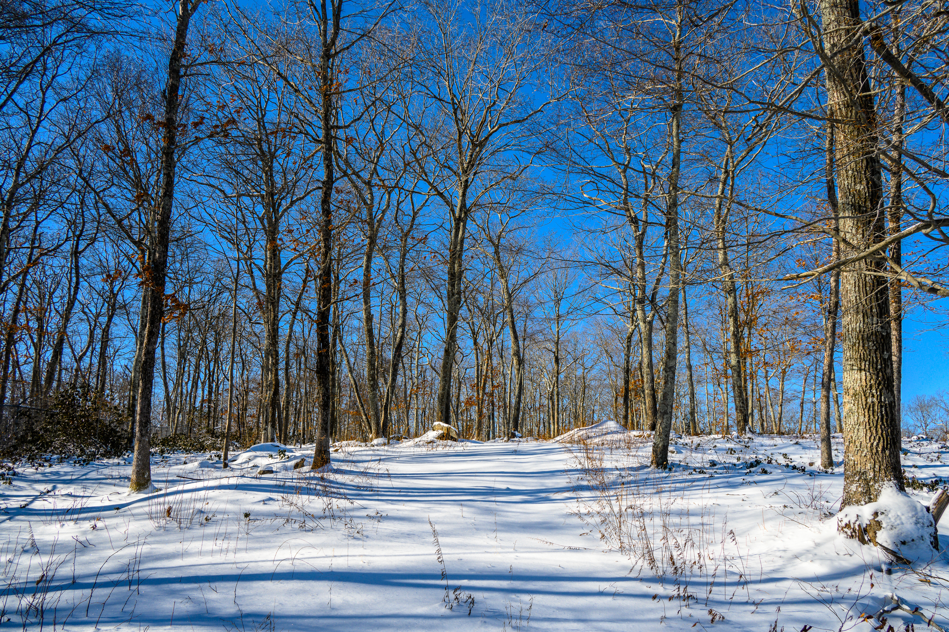 Westwoods Road # 2, Sharon, Connecticut image 4