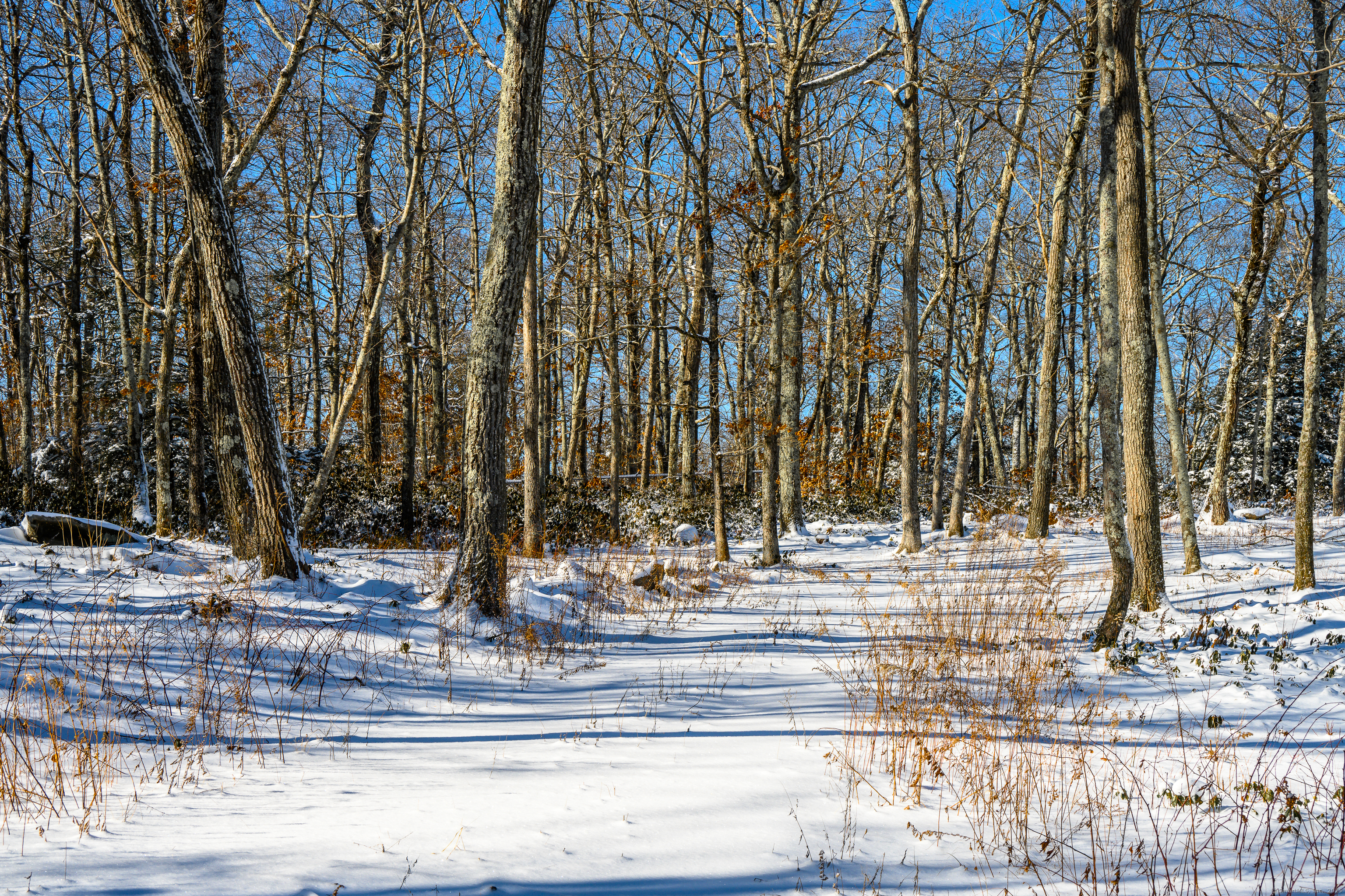 Westwoods Road # 2, Sharon, Connecticut image 11