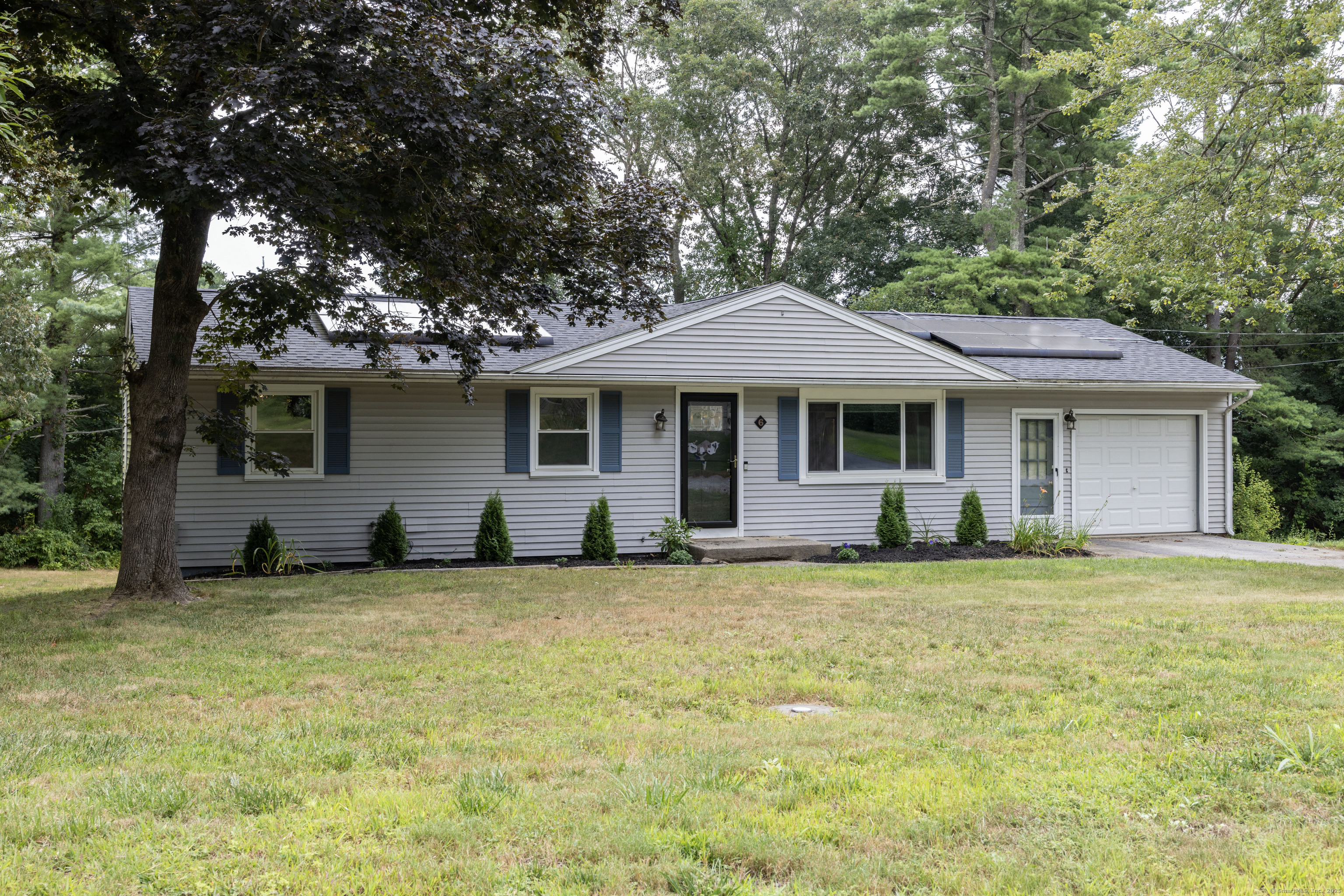 6 Oak Street