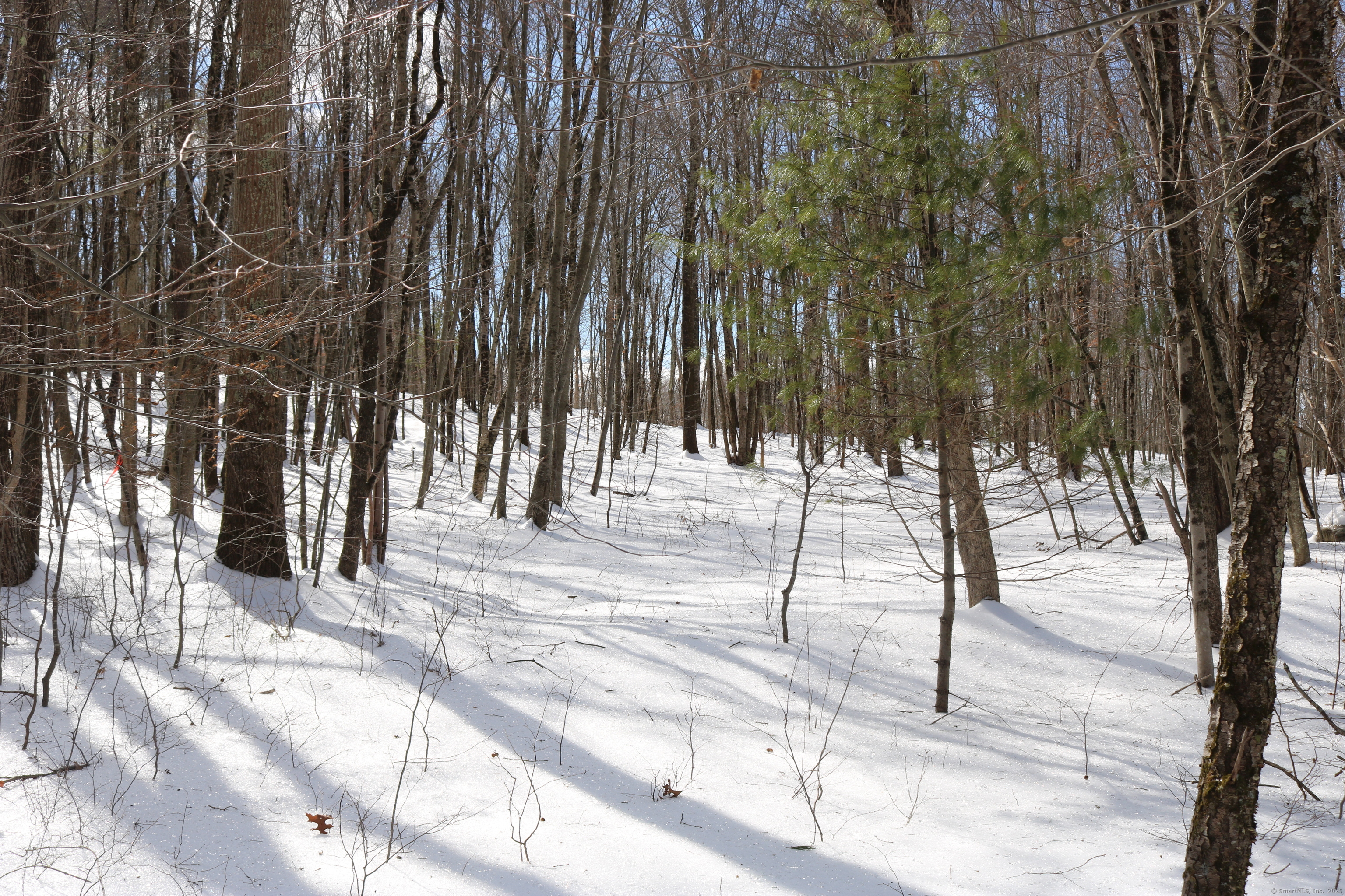 00 Bantam Road, Morris, Connecticut image 4