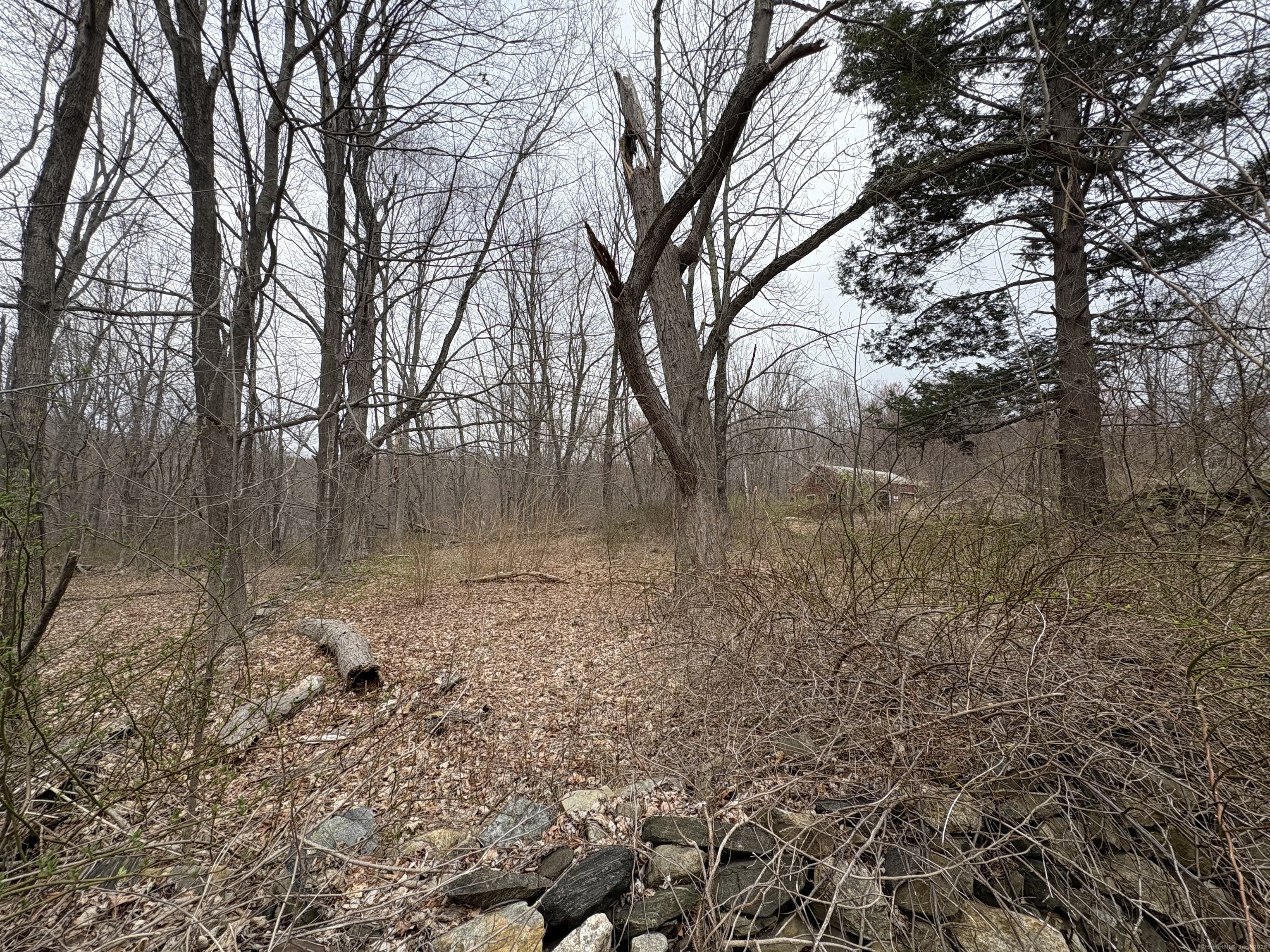 999 Main Street, Somers, Connecticut image 3