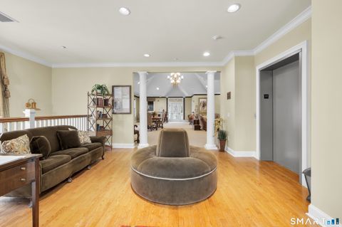 Tiny photo for 162 Hunter Drive #162, Litchfield, CT 06759 (MLS # 24145572)