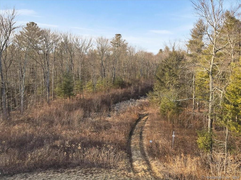 42 Fox Hunt Way, Harwinton, Connecticut image 4