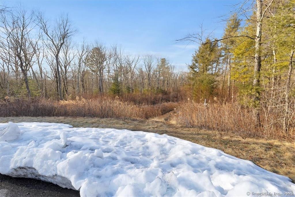 42 Fox Hunt Way, Harwinton, Connecticut image 7