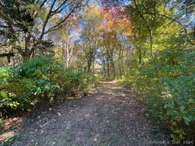 174 Montauk Avenue, Stonington, Connecticut image 6