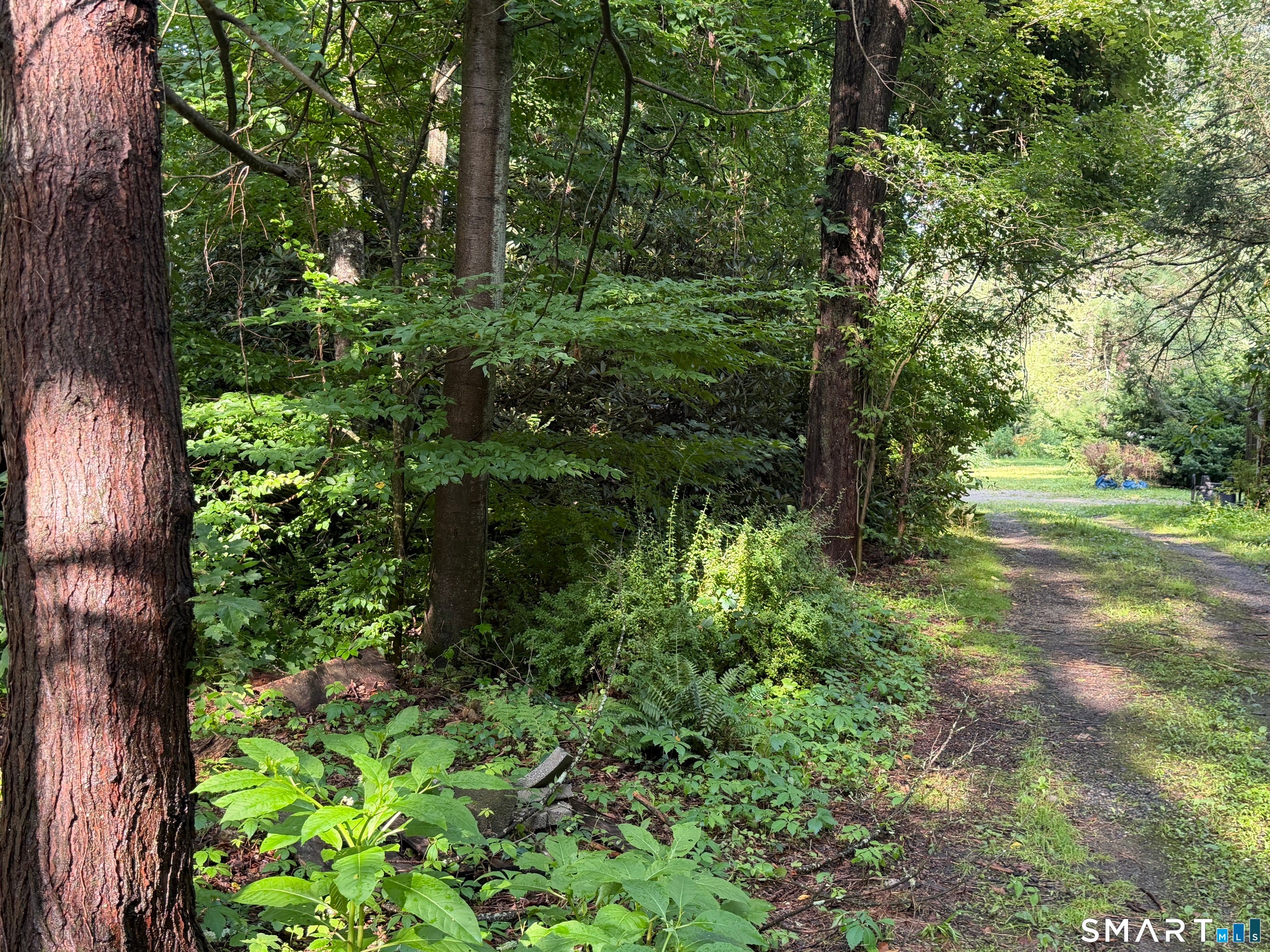 Wheeler Road