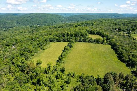 0 Chestnut Land Road New Milford CT 06776