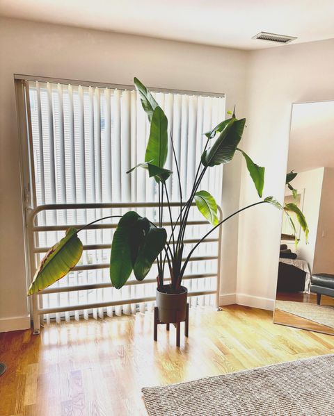 Photo of 109 Harbour Close #109, New Haven, CT 06519 (MLS # 24134684)