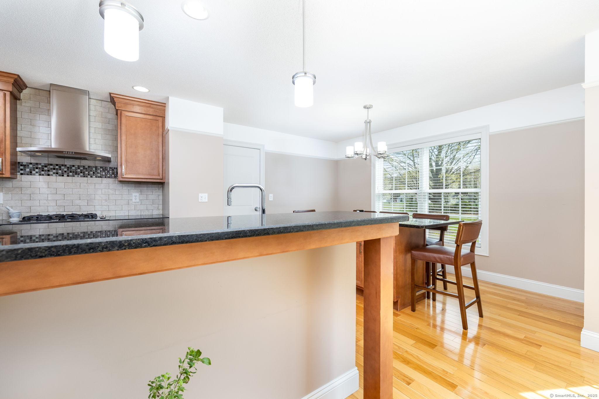 10 Meeting House Lane, Enfield, Connecticut image 15