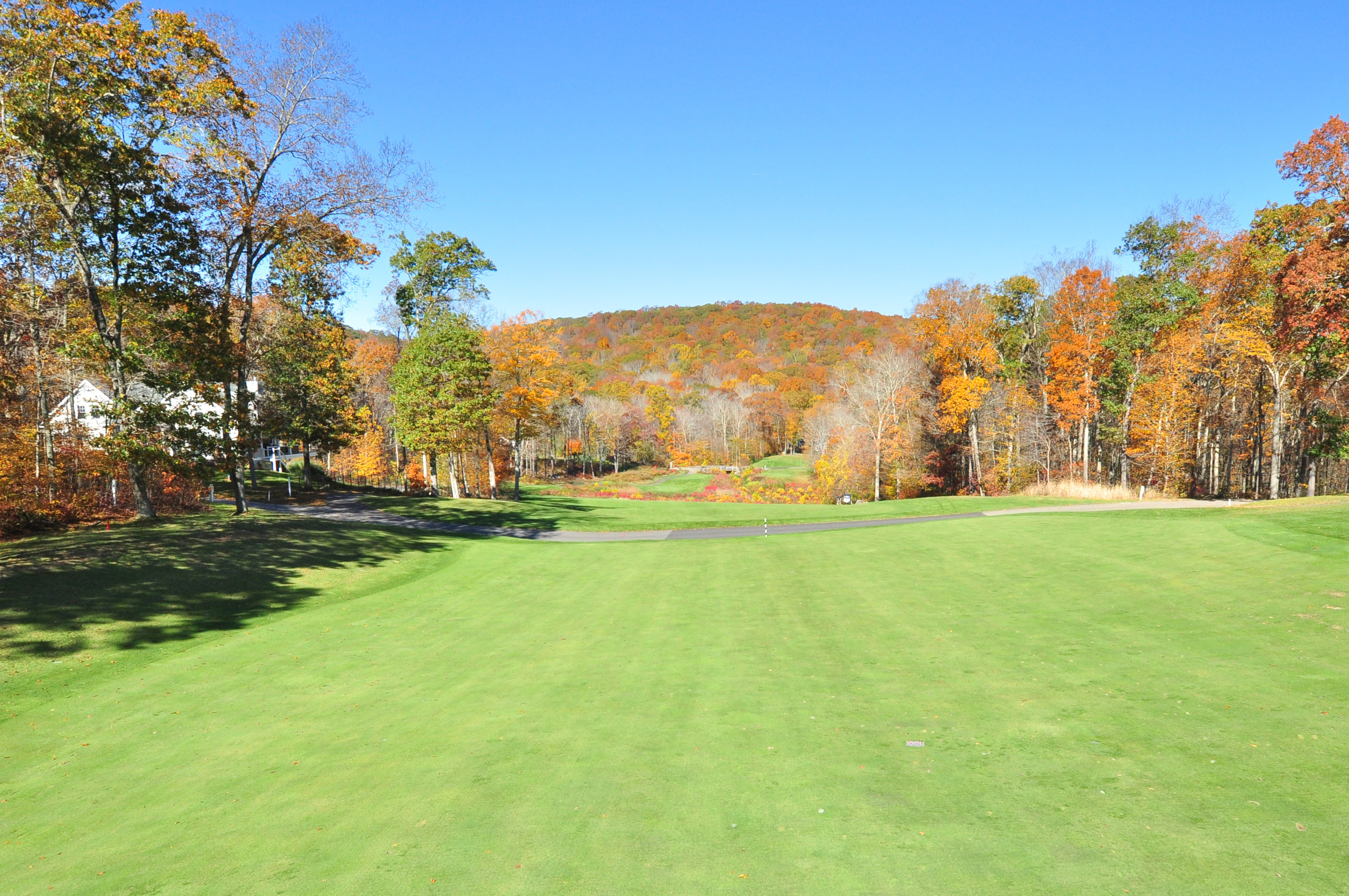 708 Fox Hopyard Road