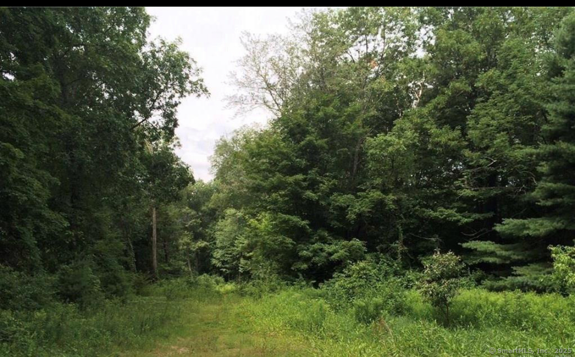 226 Goose Lane