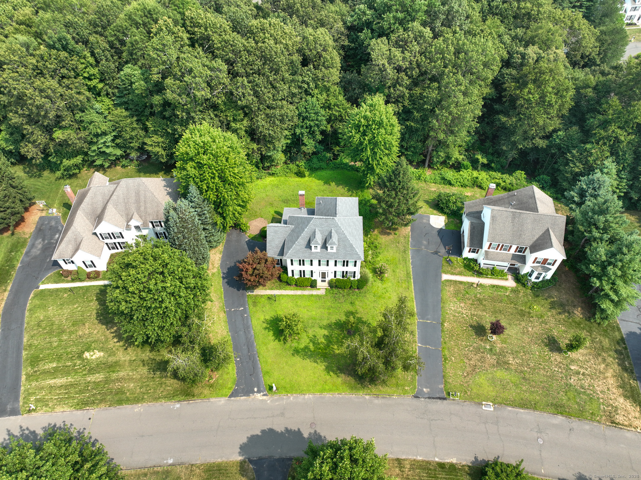 41 Buckingham Road