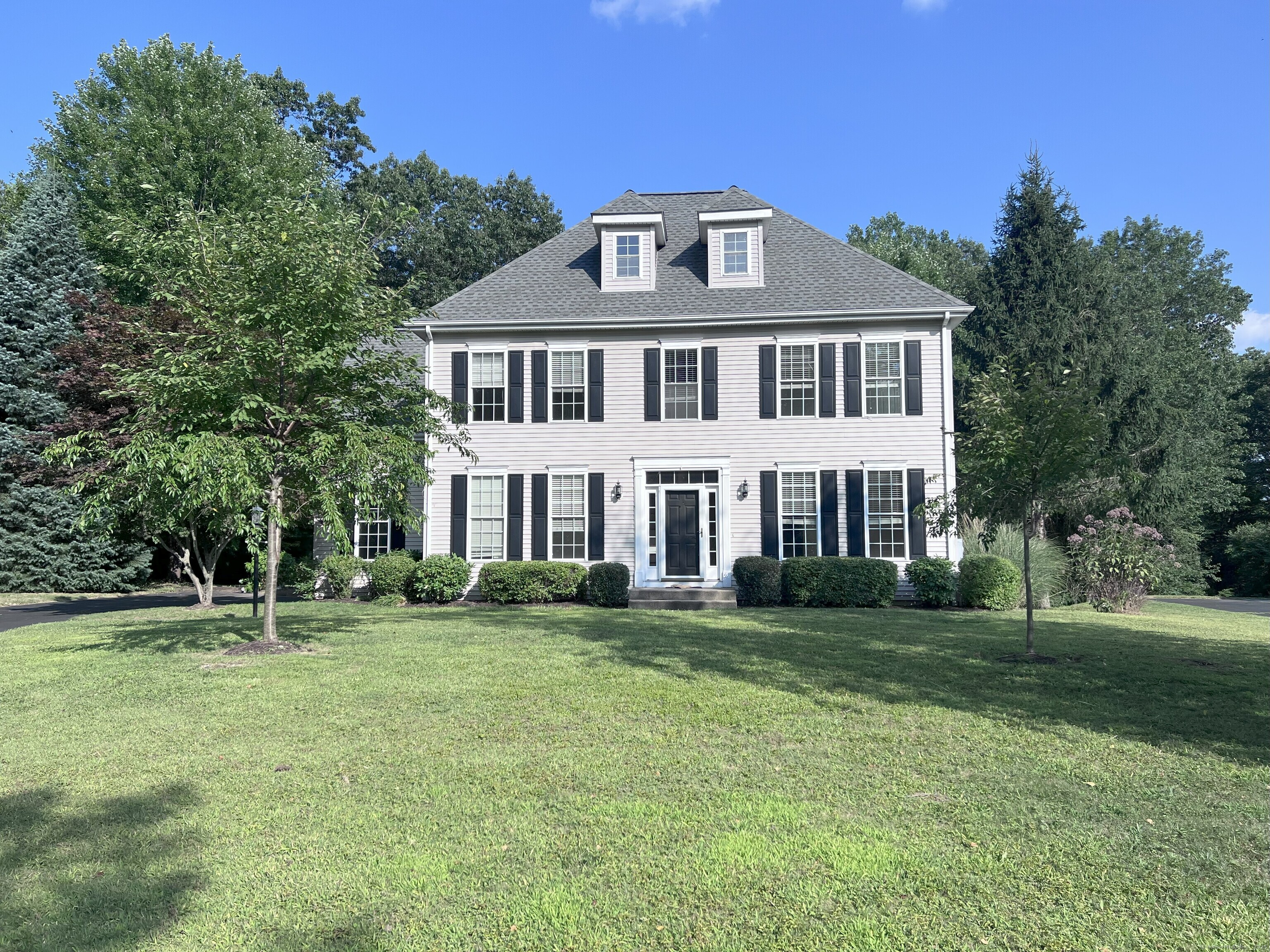 41 Buckingham Road
