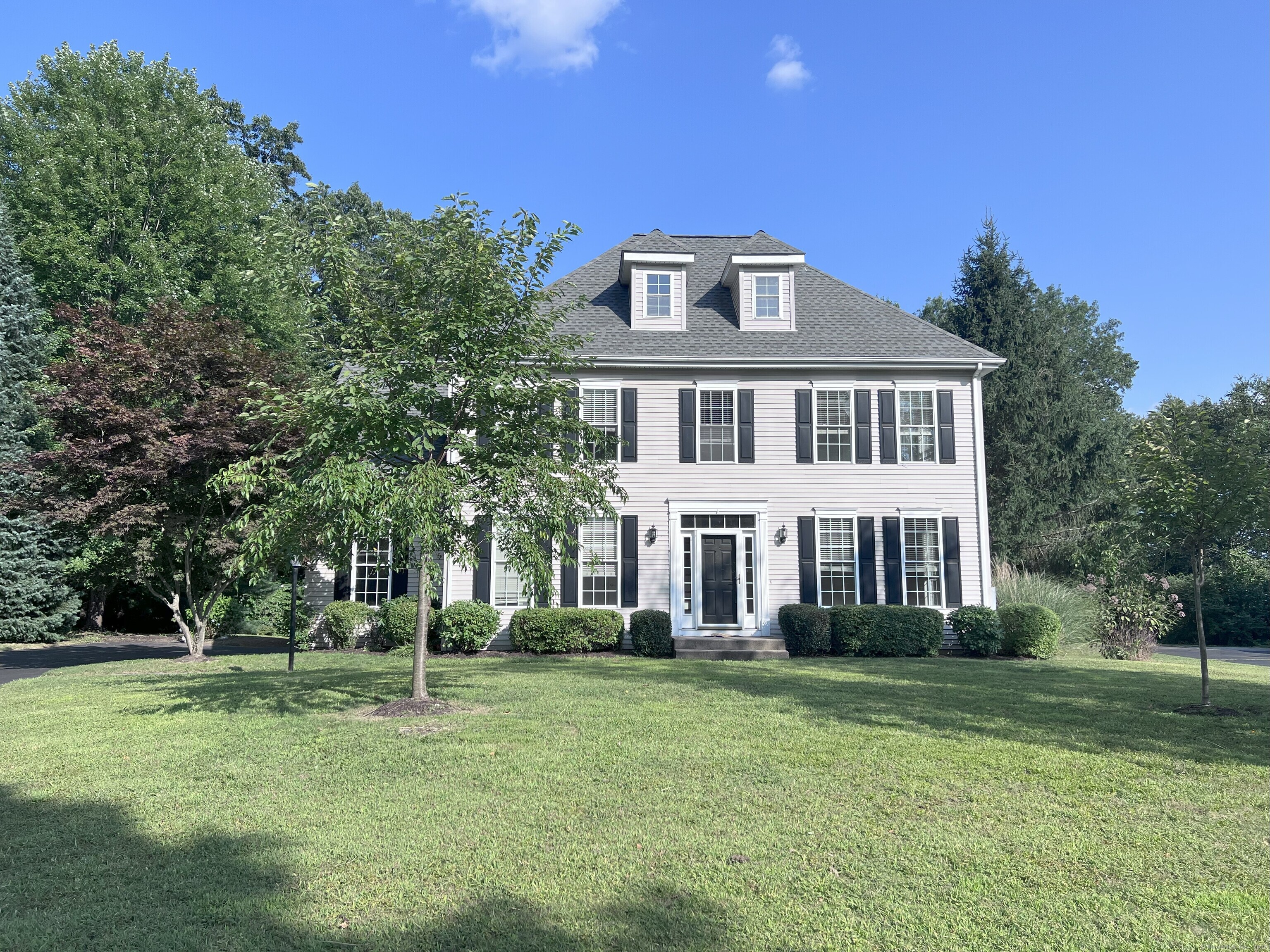 41 Buckingham Road