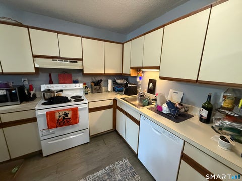 Tiny photo for 91 Fourth Street #6, Ansonia, CT 06401 (MLS # 24212366)