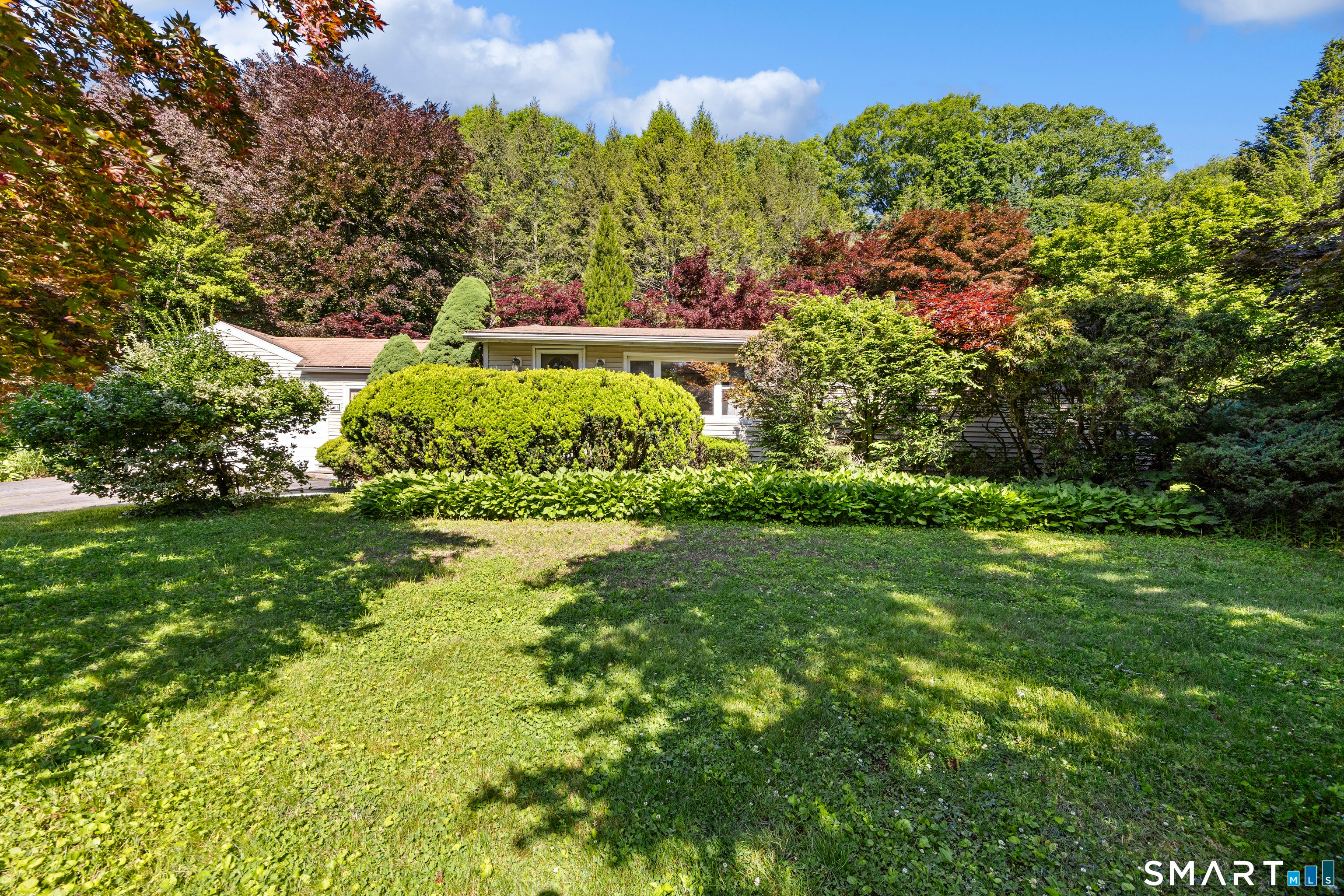 205 Mountain Road