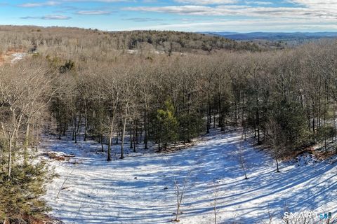 Photo of 77 Belgo Road, Salisbury, CT 06039 (MLS # 24148560)