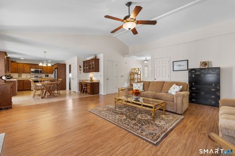 Tiny photo for 8 North Ridge #8, East Hampton, CT 06424 (MLS # 24164486)