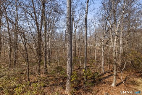 Tiny photo for 8 North Ridge #8, East Hampton, CT 06424 (MLS # 24164486)