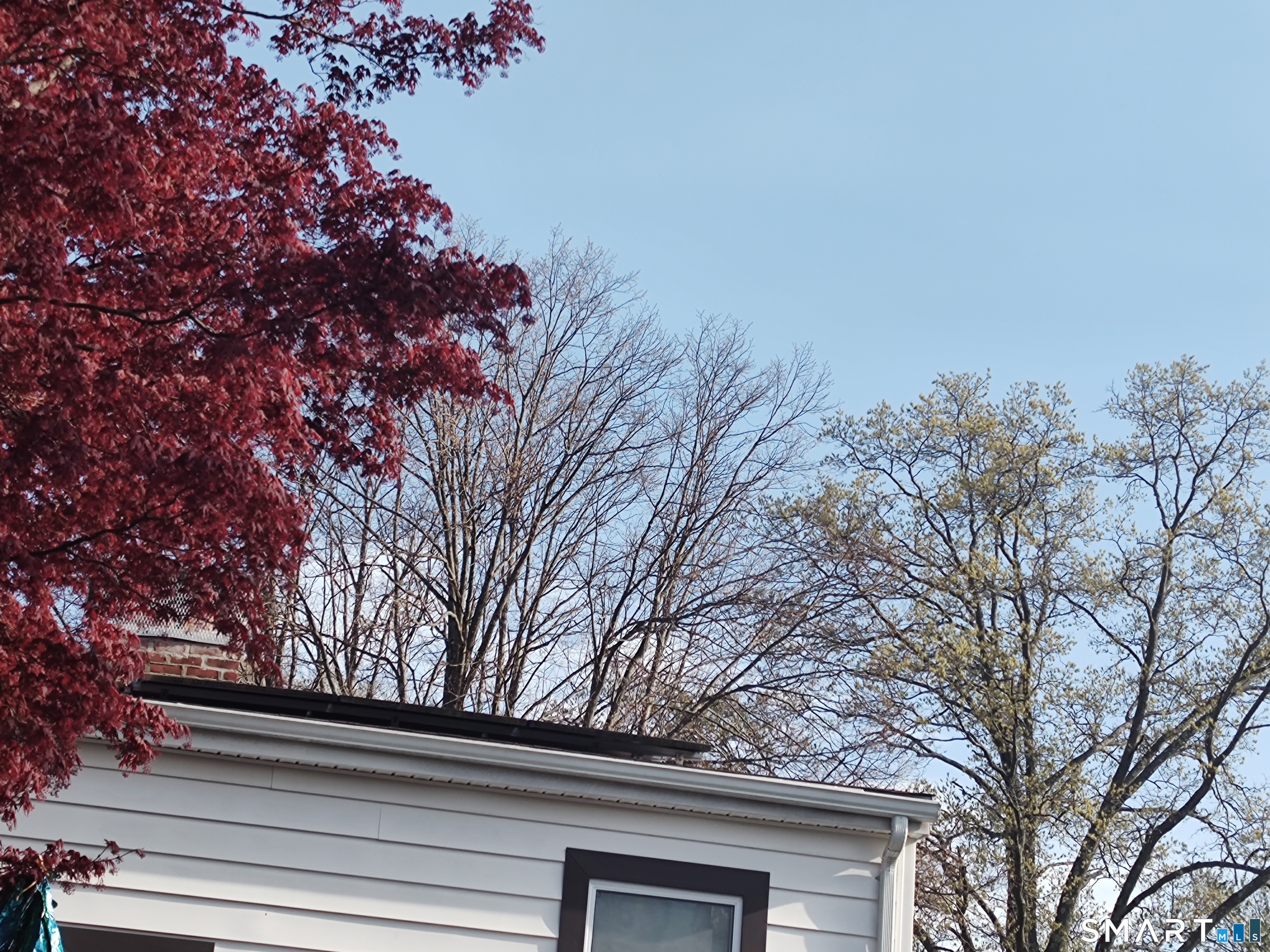 388 Reitter Street West