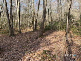 Swain Johnson Trail 2
