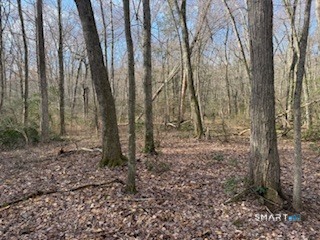 Swain Johnson Trail 2