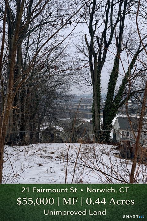 Photo of 21 Fairmount Street, Norwich, CT 06360 (MLS # 24161048)