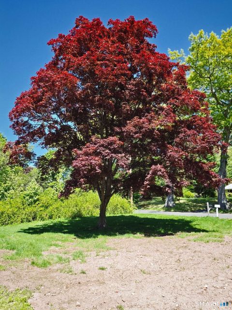 Photo of 1142 Main Street, Hamden, CT 06514 (MLS # 24175054)