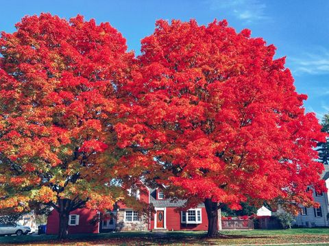 A home in West Hartford