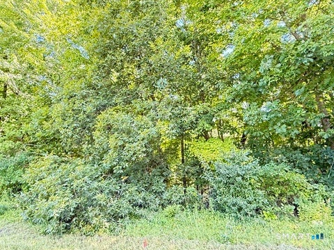 Tiny photo for Beaver Dam Road, Killingworth, CT 06419 (MLS # 24203081)