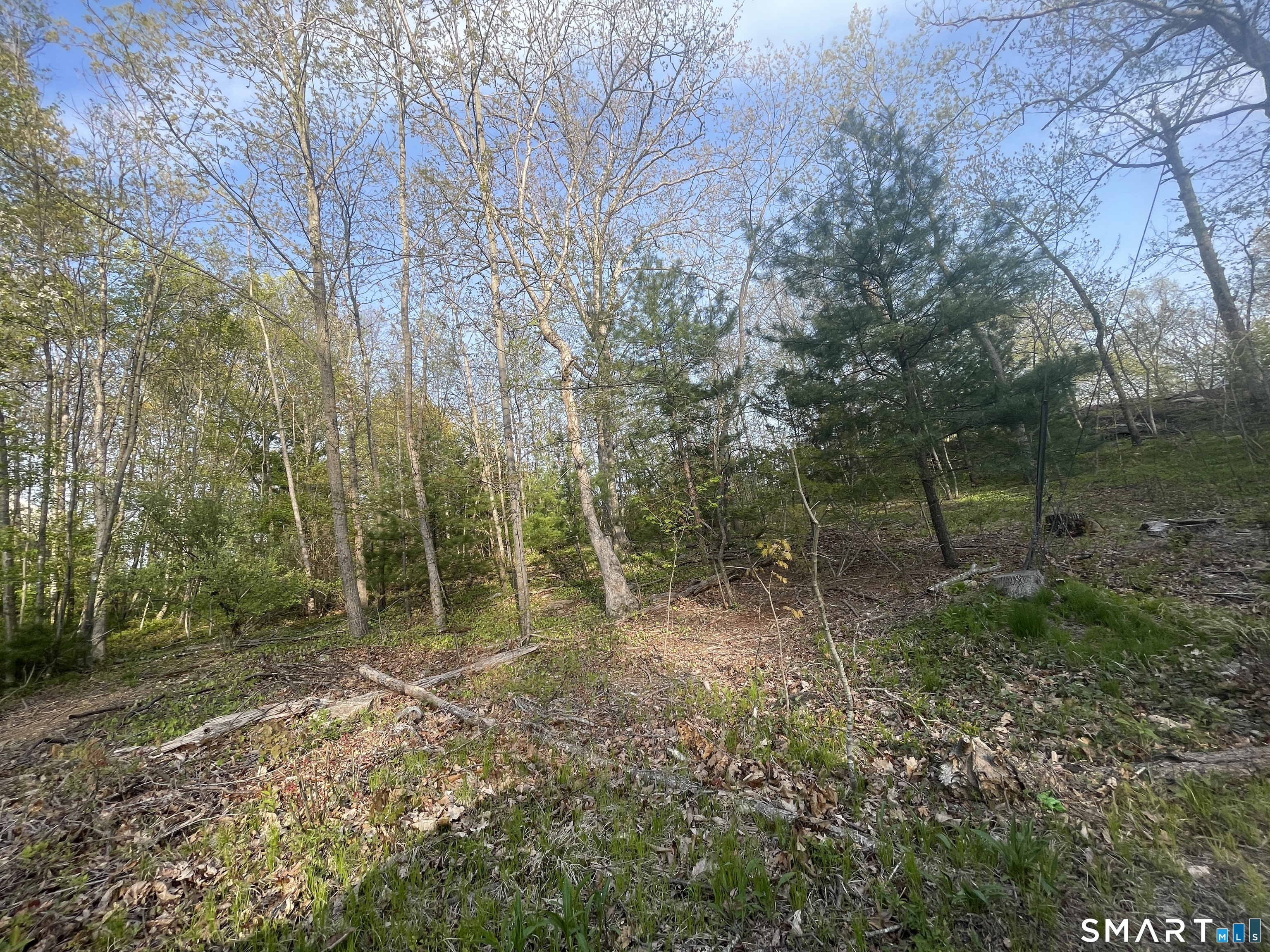 233 Mansfield Grove Road