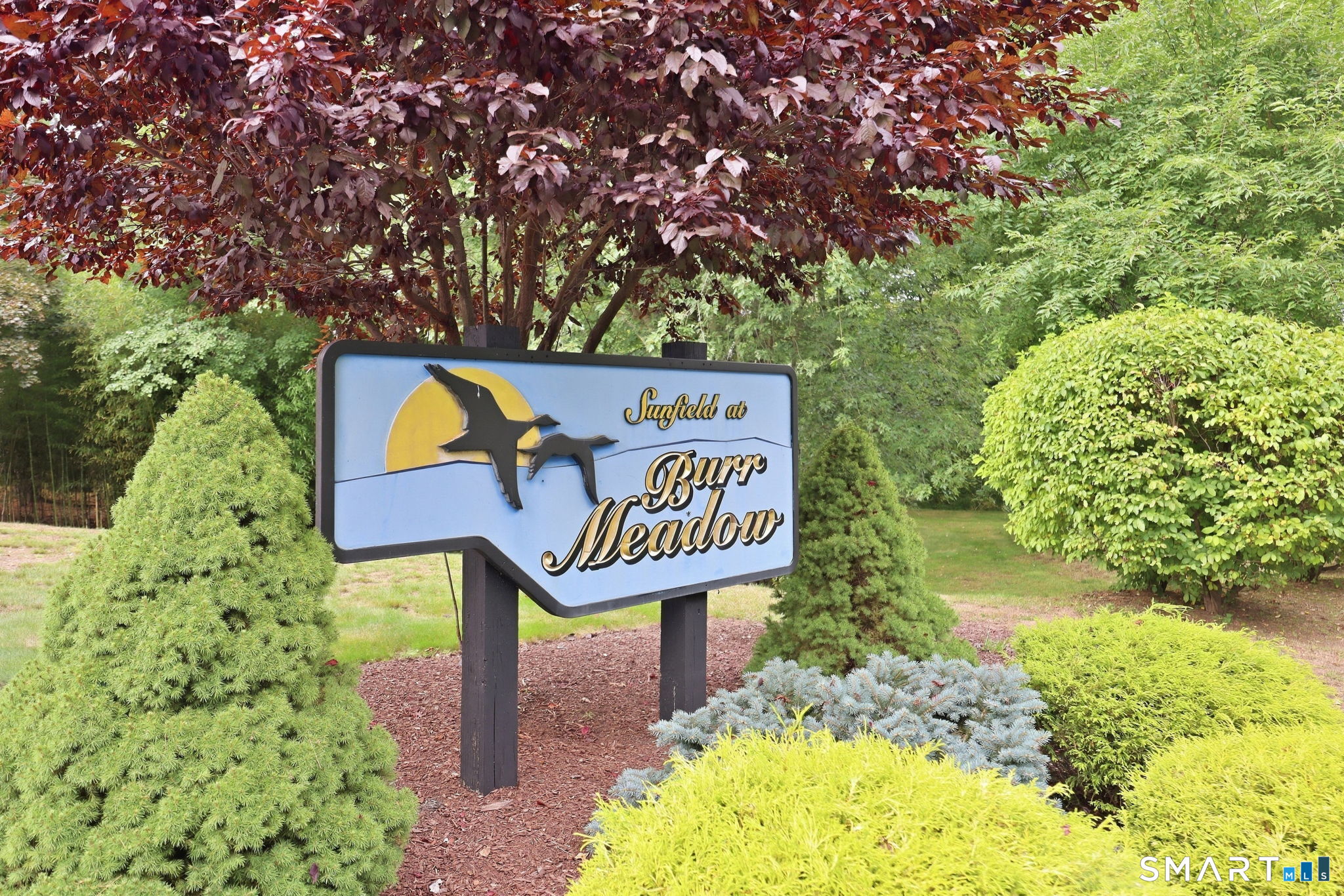 1101 Sunfield Drive 1101